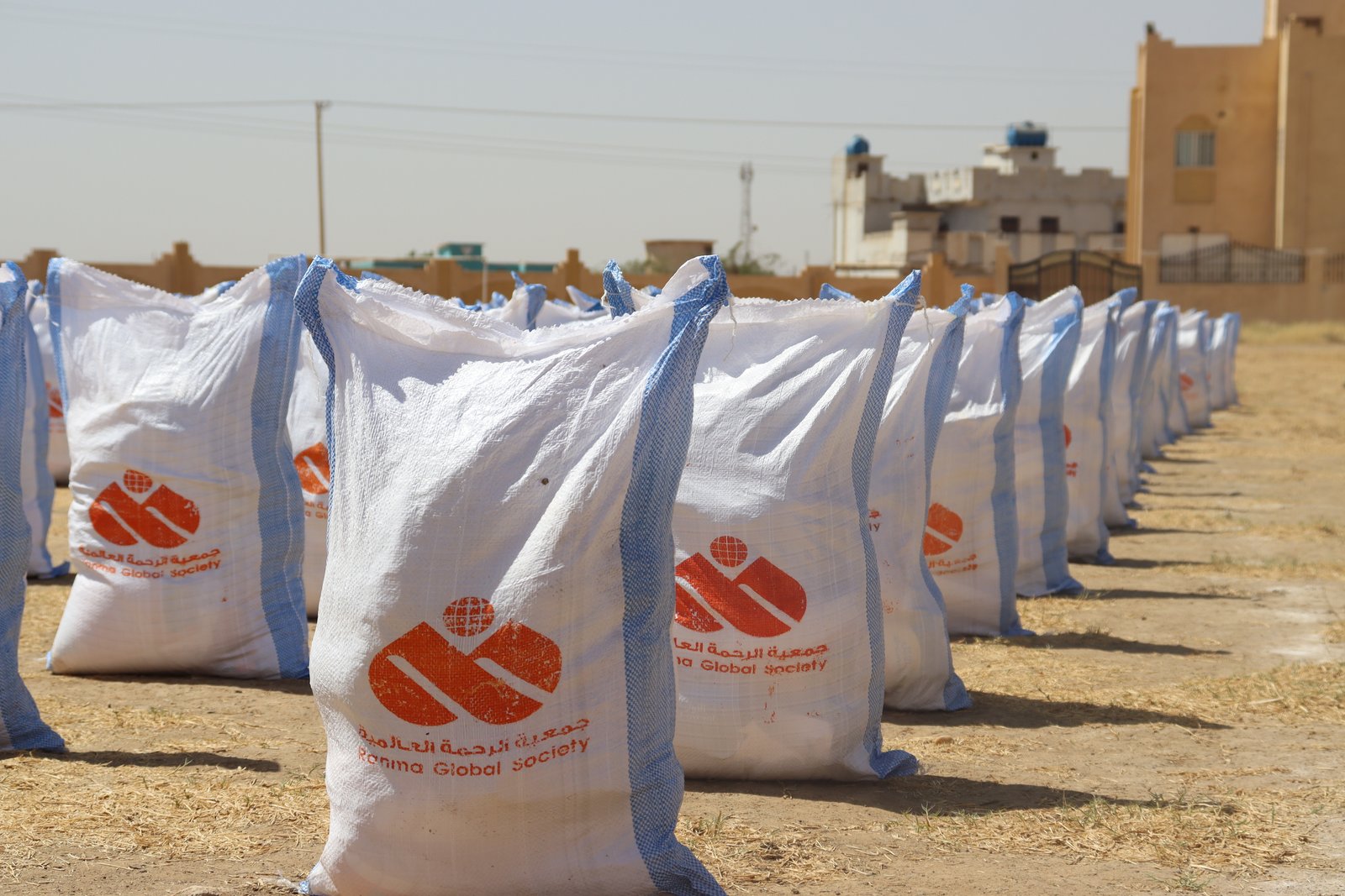 صورة النشاط