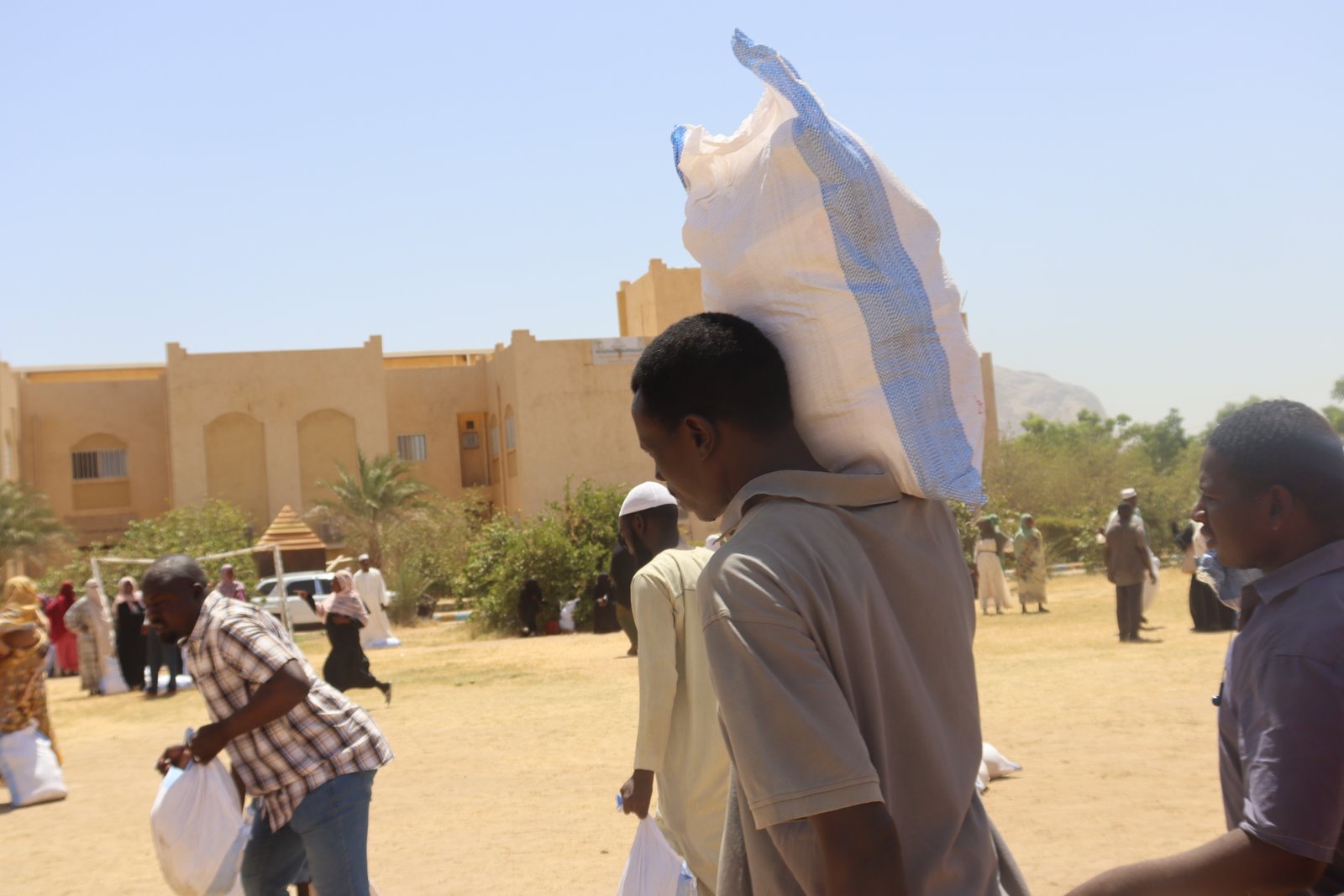 صورة النشاط