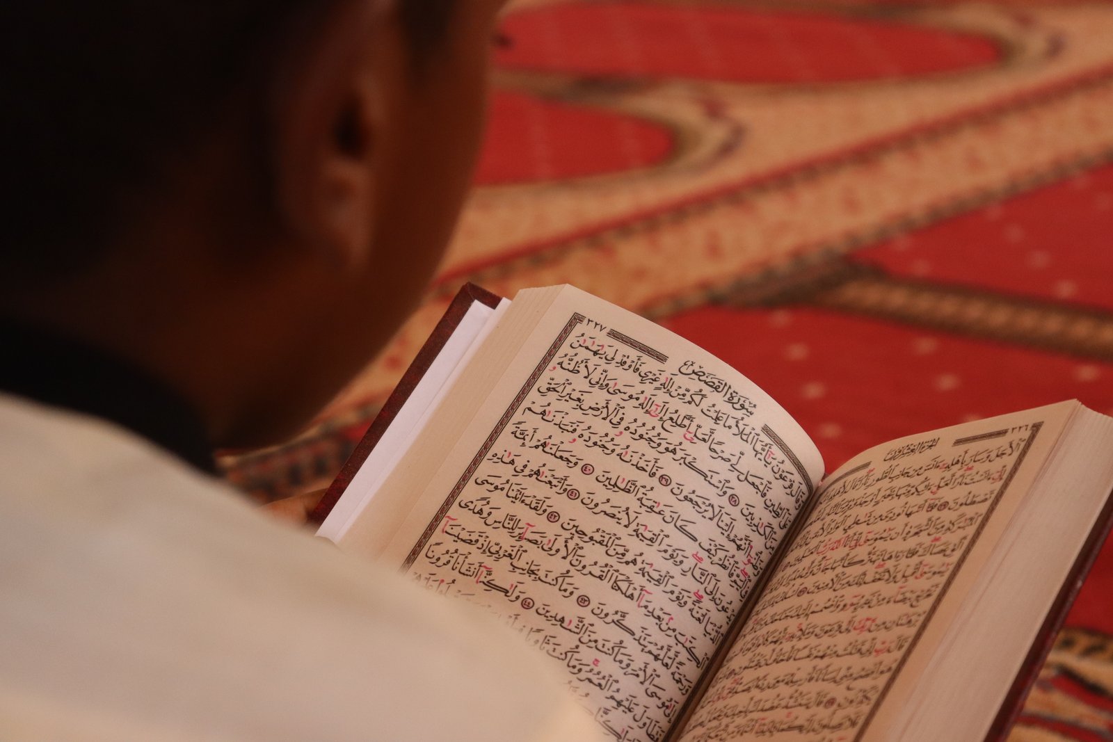مشروع "ورتّل" - لدعم ورعاية الحلقات القرآنية ومراكز تحفيظ القرآن الكريم
