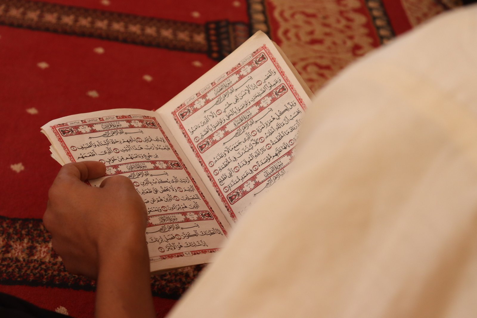 صورة النشاط
